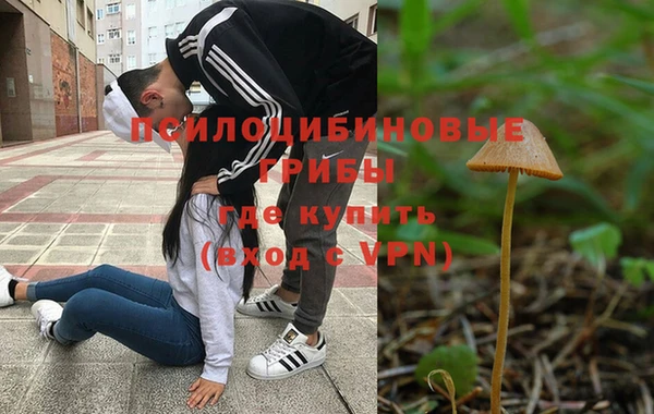 гидропоника Володарск